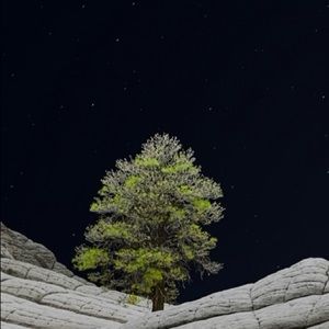 Meet your Posher, Santino (seji)